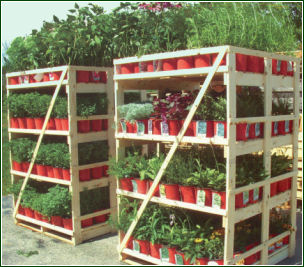 Wood Display Racks | Storage Racks | Shipping Racks | Plant Racks | Flower Racks | Wooden Display Cases